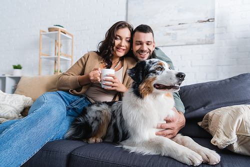 smiling young woman holding cup near bearded boyfriend cuddling australian shepherd dog