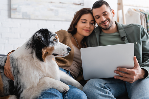 pleased young couple watching movie on laptop near australian shepherd dog