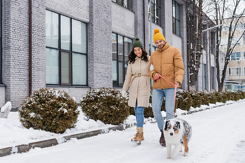 full length of happy young couple in winter jackets and hats strolling with australian shepherd dog