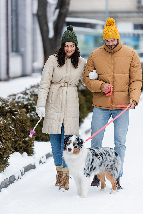 full length of joyful young couple in winter jackets and hats strolling with australian shepherd dog