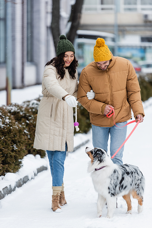 full length of happy couple in winter jackets and hats strolling with australian shepherd dog