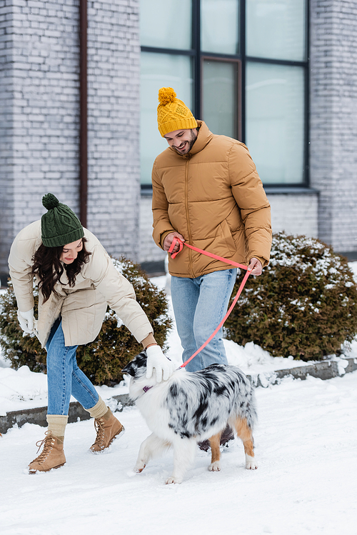 full length of happy young couple in winter jackets and hats walking with australian shepherd dog