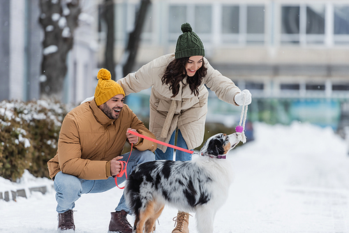 full length of happy young couple in winter jackets and hats playing with australian shepherd dog