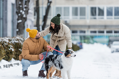 full length of cheerful young couple in winter jackets looking at each other near  australian shepherd dog