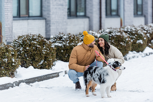 full length of cheerful young couple in winter jackets looking at each other near  australian shepherd dog