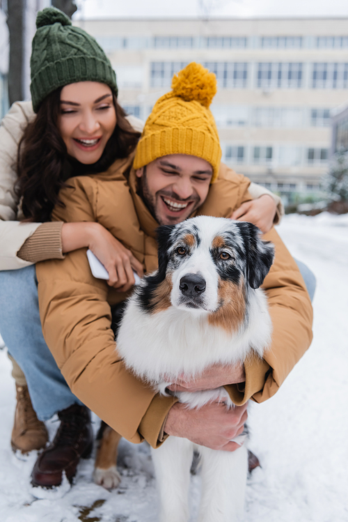 smiling woman in knitted hat holding smartphone and hugging boyfriend near australian shepherd dog in winter