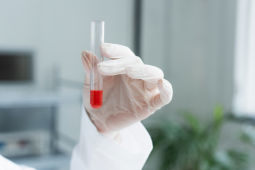 Cropped view of researcher in latex glove holding test tube in laboratory