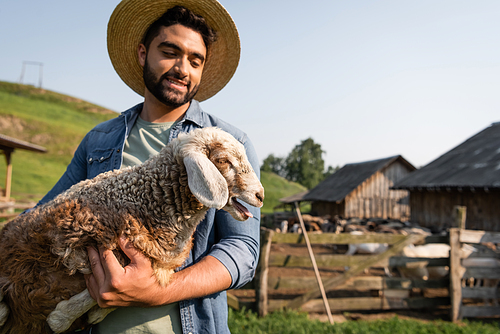 bearded farmer in straw hat holding lamb on cattle farm in countryside