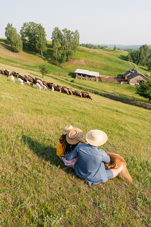 back view of family in straw hats sitting near herd grazing on scenic pasture
