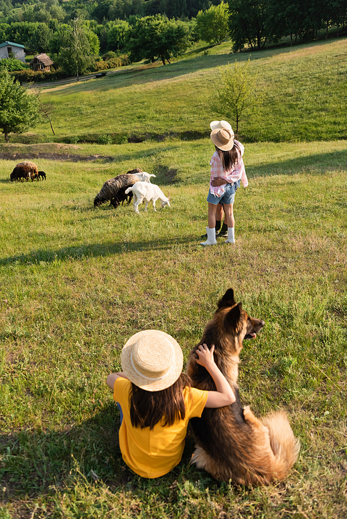 girl in straw hat sitting with dog while parents hugging near herd grazing in pasture