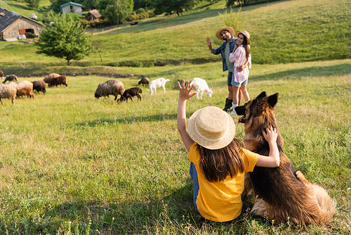 girl with cattle dog waving hand to happy parents herding livestock in green pasture