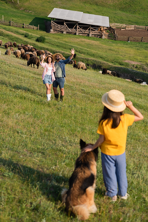 happy farmers waving hands to daughter with dog while herding cattle in pasture