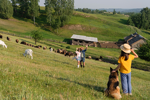 child with dog waving hand to parents herding cattle in picturesque pasture