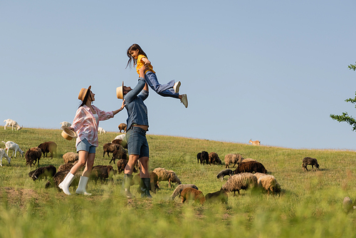side view of excited farmer holding daughter near wife and sheep herd in green meadow