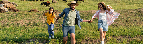 cheerful family in straw hats holding hands while running in pasture near grazing herd, banner