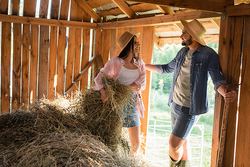 bearded farmer in straw hat talking to smiling wife stacking hey in barn