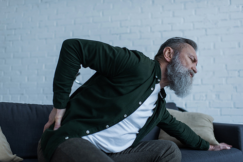 bearded senior man with beard sitting on sofa and touching back while suffering from pain