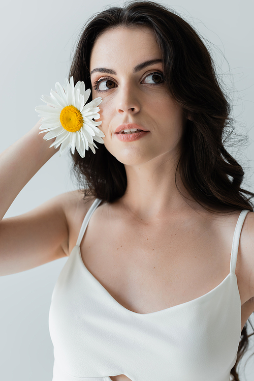 Young woman in white top holding chamomile isolated on grey