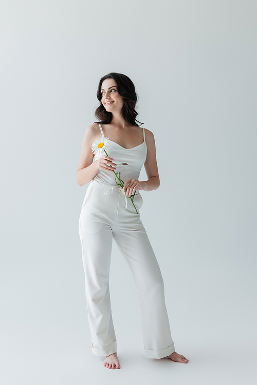 Full length of barefoot woman in white clothes smiling and holding chamomile on grey background