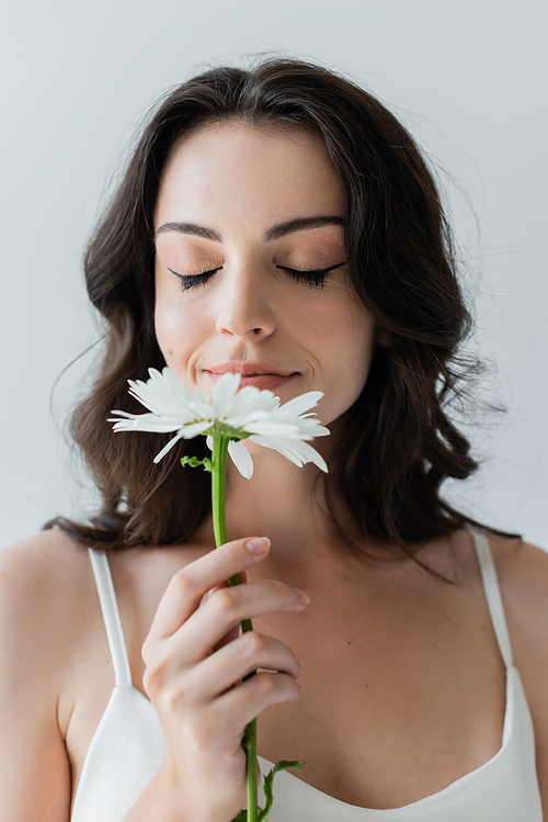 Portrait of young brunette woman smelling chamomile isolated on grey