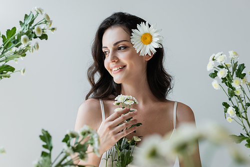 Happy brunette woman with chamomile in hair standing near blurred flowers isolated on grey