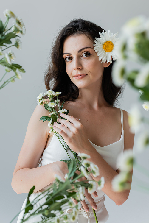 Brunette woman in white top holding chamomiles and looking at camera isolated on grey