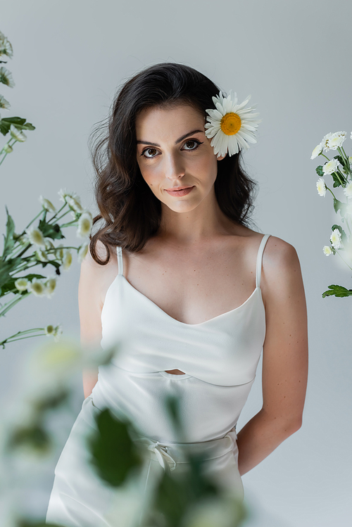 Portrait of young model with chamomile in hair looking at camera near flowers isolated on grey