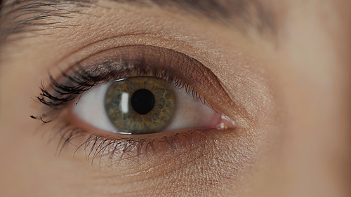 close up view of woman with hazel eye and mascara on eyelashes looking at camera