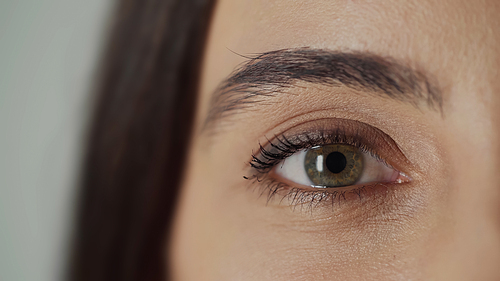 close up view of woman with hazel eye and mascara on eyelashes looking at camera isolated on grey