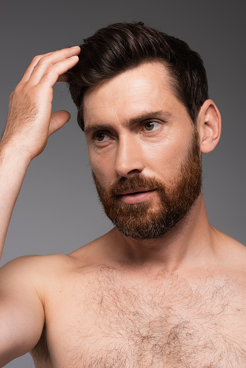 portrait of man with beard adjusting brown hair isolated on grey