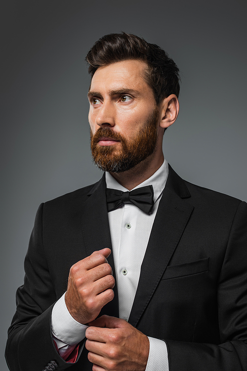 bearded man in elegant tuxedo with bow tie adjusting sleeve on shirt isolated on grey