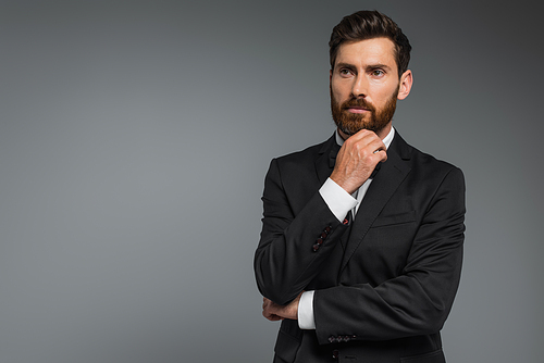 pensive man with beard standing in elegant suit with bow tie looking away isolated on grey