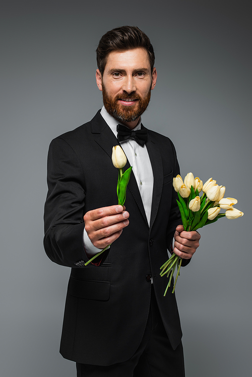 bearded man in elegant tuxedo with bow tie holding tulips isolated on grey