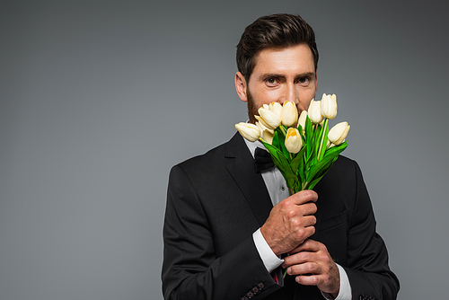 bearded man in elegant tuxedo smelling fresh tulips isolated on grey