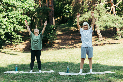 full length of cheerful senior man and woman with raised hands exercising on fitness mats in park