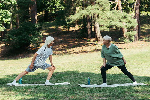 full length of senior couple with grey hair smiling and doing lunges on fitness mats in park