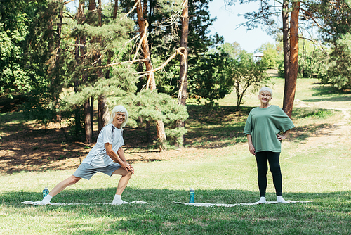 full length of senior man with grey hair smiling and doing lunges on fitness mat near wife in park