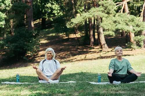 full length of senior couple sitting in yoga pose and meditating on fitness mats in green park