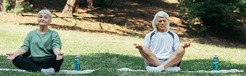 full length of senior couple sitting in yoga pose and meditating on fitness mats in green park, banner
