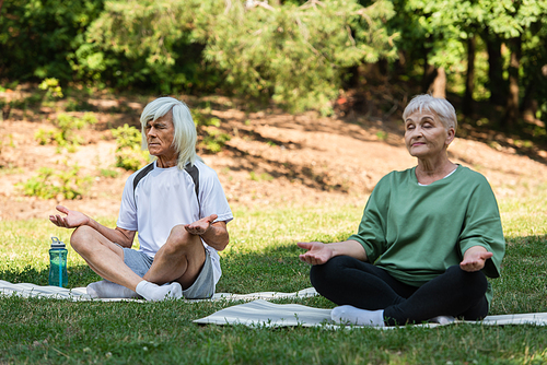 full length of senior couple with grey hair meditating on fitness mats in green park
