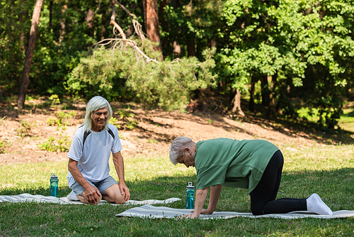full length of cheerful senior couple in sportswear exercising on fitness mats in green park