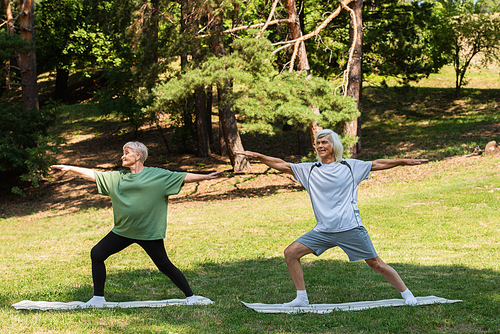 full length of happy senior couple in sportswear exercising on fitness mats in green park