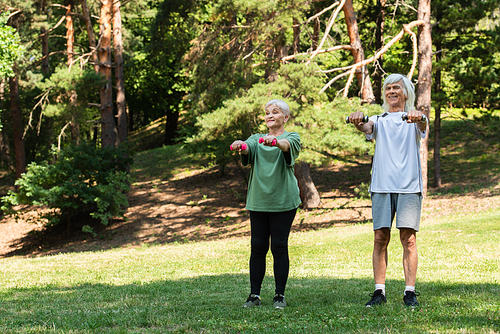 full length of happy senior couple in sportswear exercising with dumbbells in green park