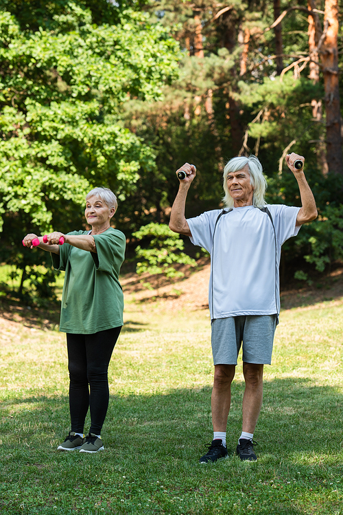 full length of cheerful senior couple in sportswear exercising with dumbbells in green park