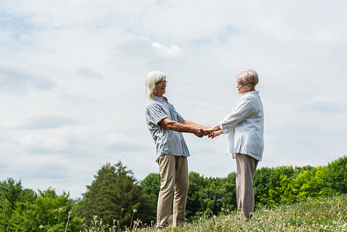 cheerful senior husband and wife with grey hair holding hands on green hill in summer