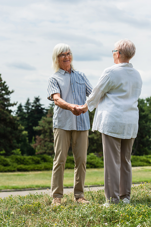 happy senior husband and wife with grey hair holding hands and standing on green hill in summer