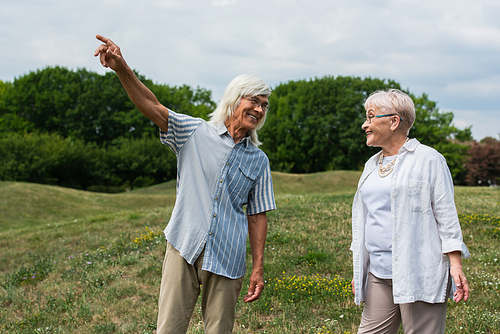 happy senior man in glasses pointing away near wife with grey hair standing on green hill