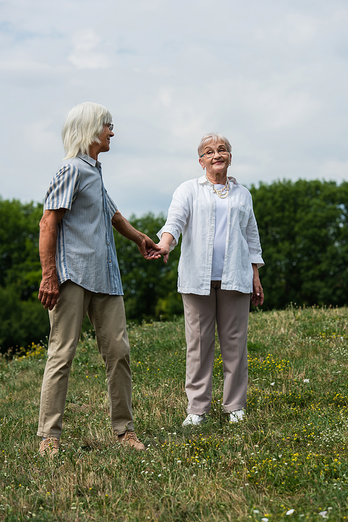 full length of happy senior couple in glasses holding hands and standing on green hill in summer