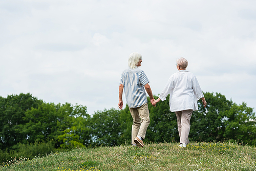 full length of senior couple in glasses holding hands and walking on green hill in summer