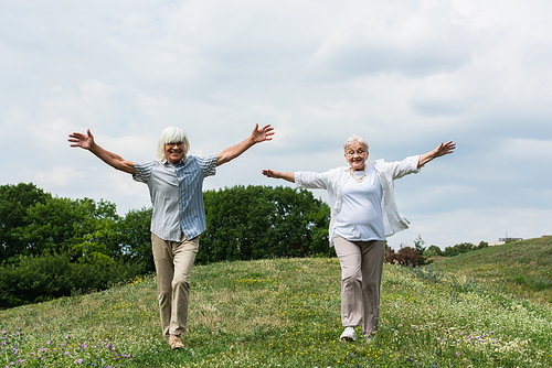 full length of happy senior couple in glasses and shirts walking with outstretched hands on green hill